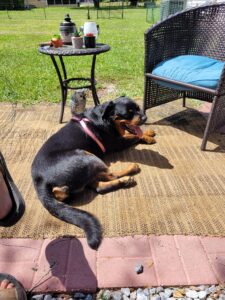 492010368_10234478011628025_8154101942209799560_n