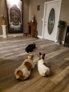 WhatsApp Image 2025-10-11 at 16.10.54