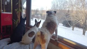 WhatsApp Image 2025-10-11 at 16.11.41