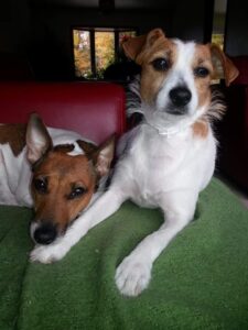 WhatsApp Image 2025-10-11 at 16.12.56